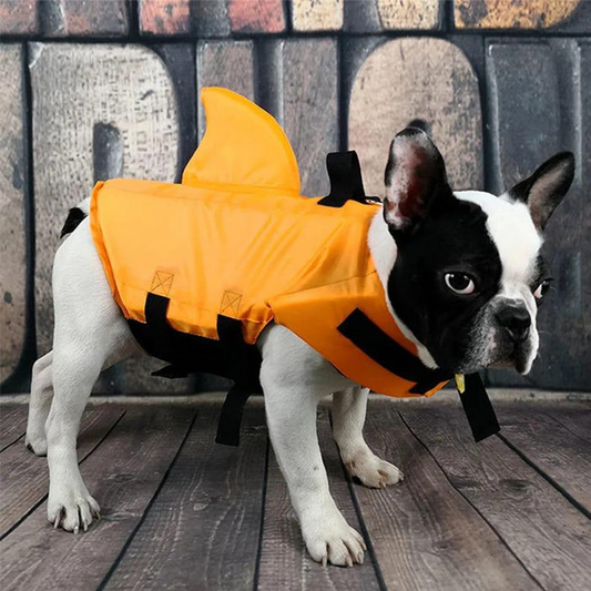 ⏰ 🦈🐶 Állítható, cápa alakú kutyamentőmellény – A kutyusod fantasztikusan fog kinézni! | Biztonsági úszó + aranyos dizájn