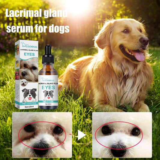 🐱🐶Szemtisztító és cseppek kisállatoknak🌿💧